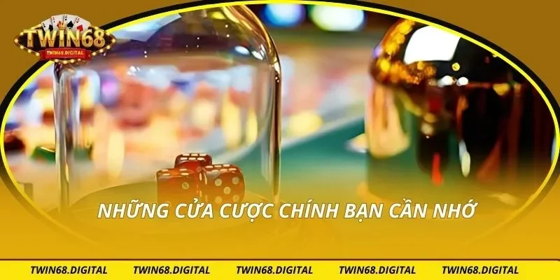 Những cửa cược chính bạn cần nhớ
